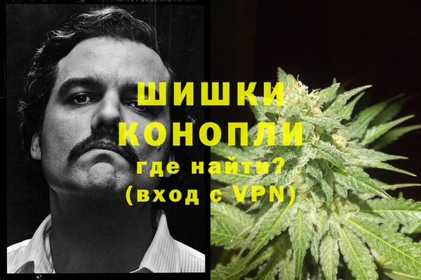 a pvp Няндома