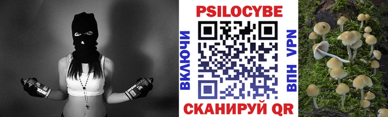 Псилоцибиновые грибы GOLDEN TEACHER  Рославль 